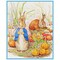 Beatrix Potter Peter Rabbit Collects Onions Counted Cross Stitch Chart Pattern